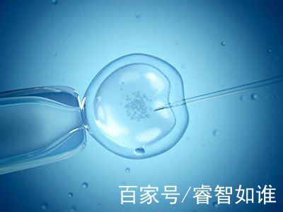 代生生男孩代怀中介生殖中心